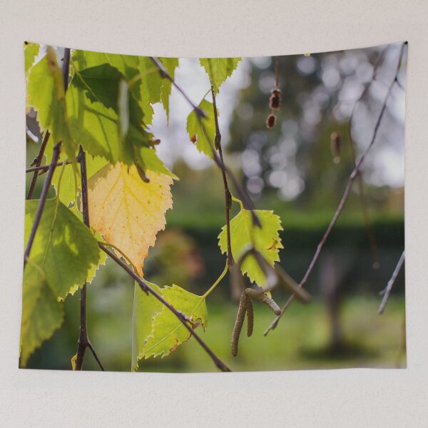 Item preview, Green and yellow autumn birch leaves designed and sold by lena-maximova.