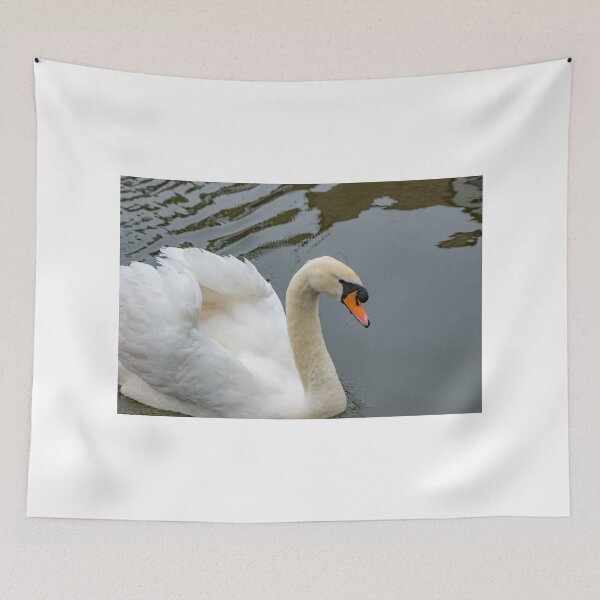 Item preview, Mute swan on the Norfolk Broads designed and sold by yackers1.