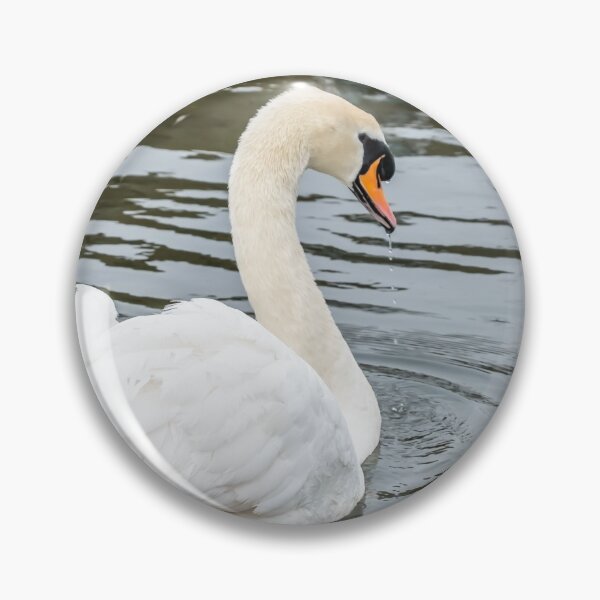 Item preview, Mute swan designed and sold by yackers1.