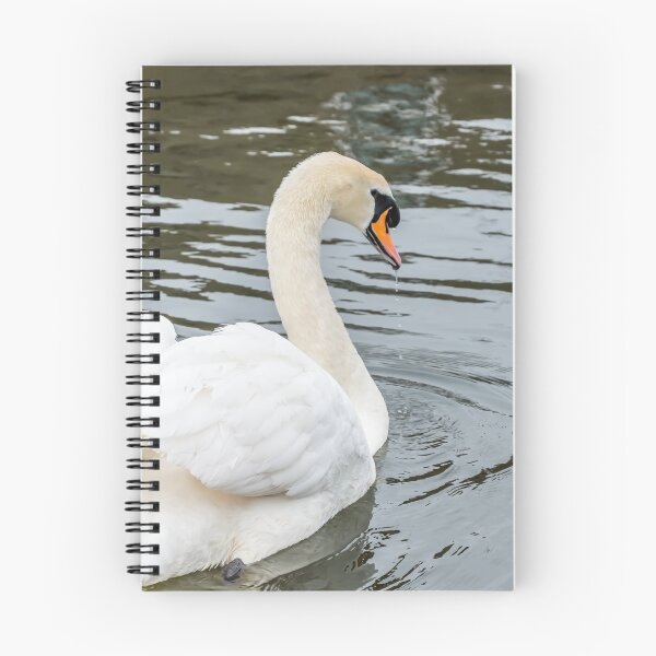 Item preview, Mute swan designed and sold by yackers1.