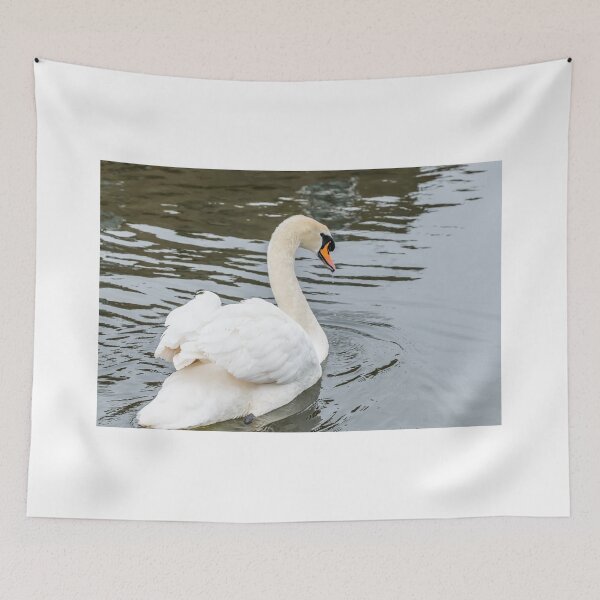 Item preview, Mute swan designed and sold by yackers1.