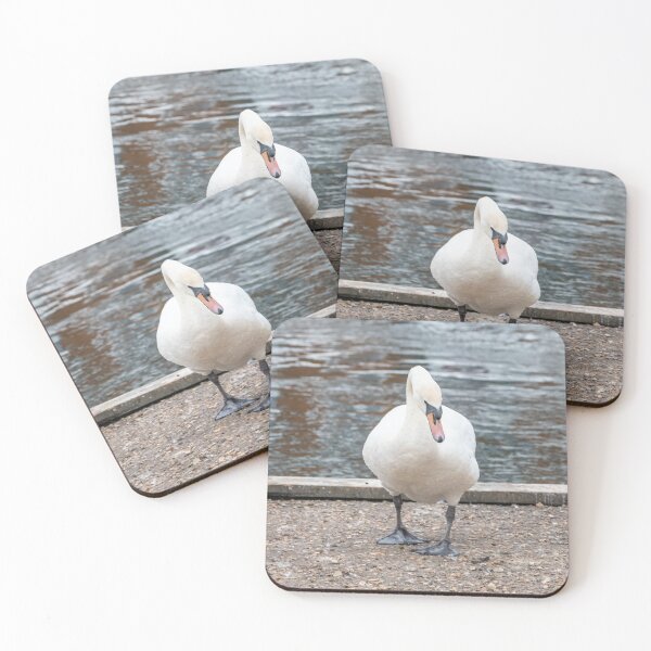 Item preview, Mute swan on the river bank designed and sold by yackers1.