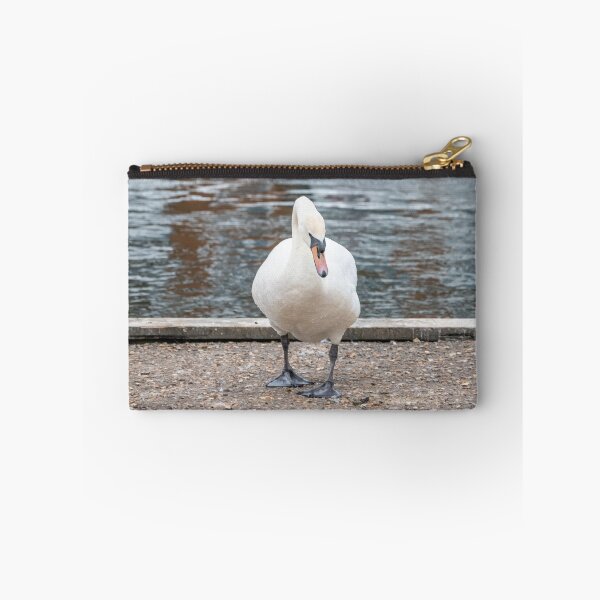 Item preview, Mute swan on the river bank designed and sold by yackers1.