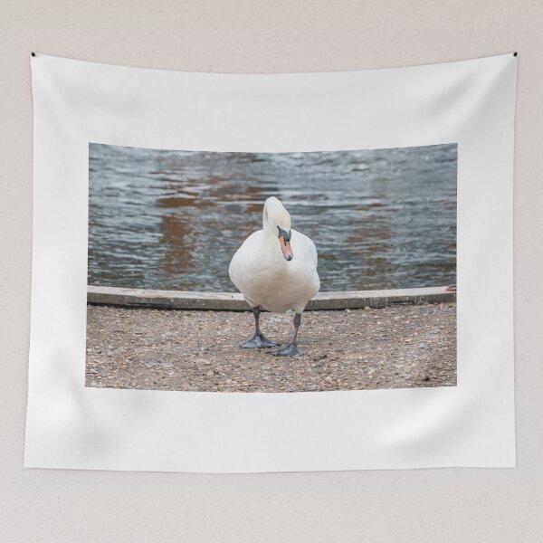 Item preview, Mute swan on the river bank designed and sold by yackers1.