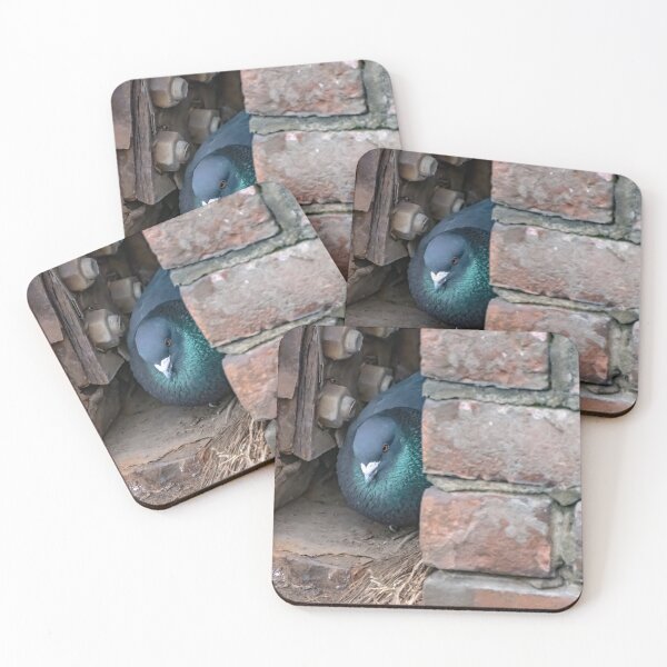 Item preview, Wood pigeon designed and sold by yackers1.