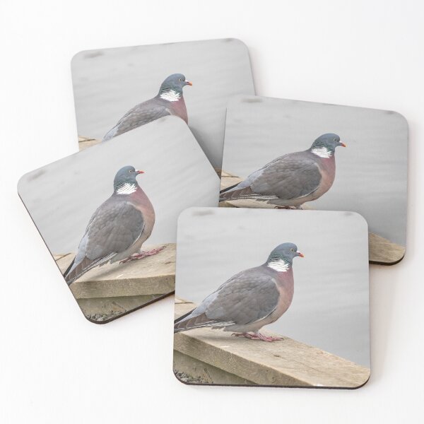 Item preview, Wood pigeon designed and sold by yackers1.