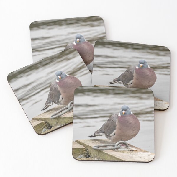 Item preview, Wood pigeon designed and sold by yackers1.