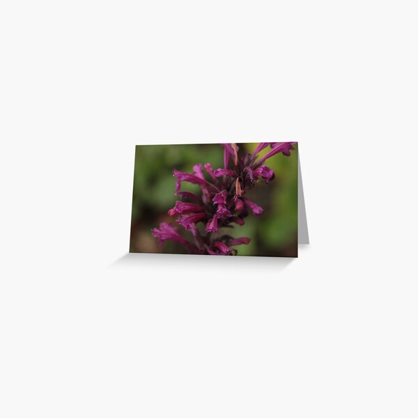 Item preview, MM 13 designed and sold by beeden.