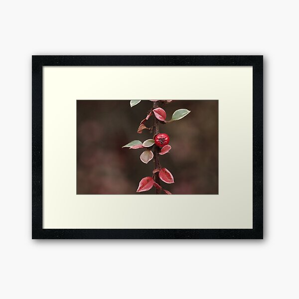 Item preview, MM 17 designed and sold by beeden.