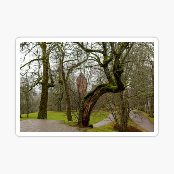 Item preview, Crooked mossy trees in autumn designed and sold by lena-maximova.