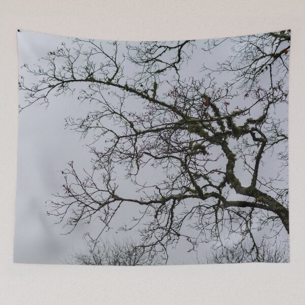 Item preview, Tree branches silhouette against grey dismal sky designed and sold by lena-maximova.