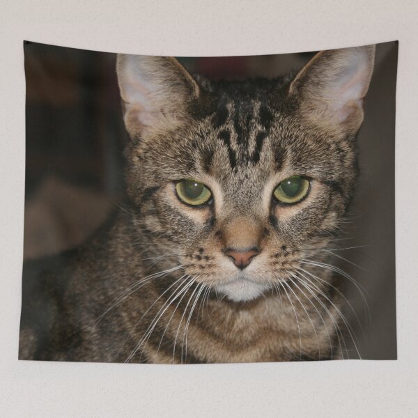 Item preview, Striped Cat designed and sold by magicbyrc.