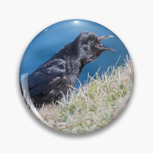 Item preview, Crow designed and sold by LaurenTucker.