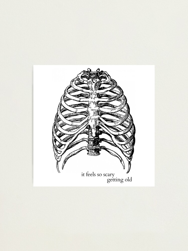 ribs lorde beginning ribs lorde beginning