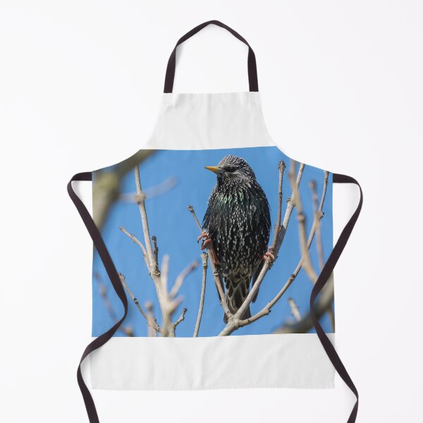 Item preview, Starling designed and sold by LaurenTucker.