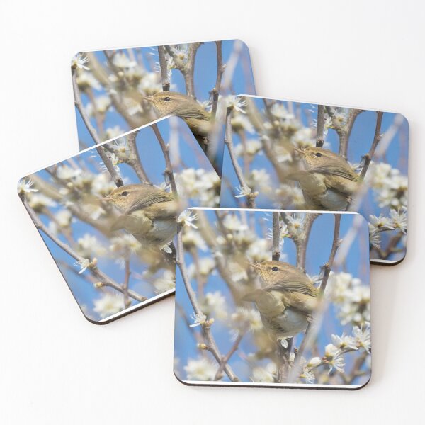 Item preview, Willow Warbler designed and sold by LaurenTucker.
