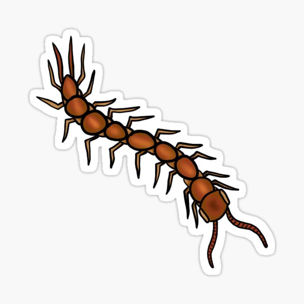 Item preview, Centipede - British Wildlife Species designed and sold by FeraForus.