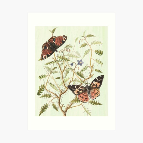 Butterfly magic Art Print
