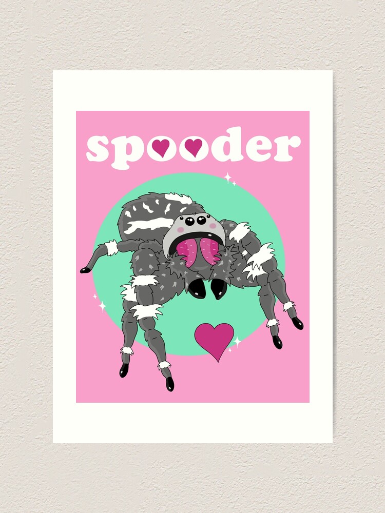 Smol Spooder Boi?