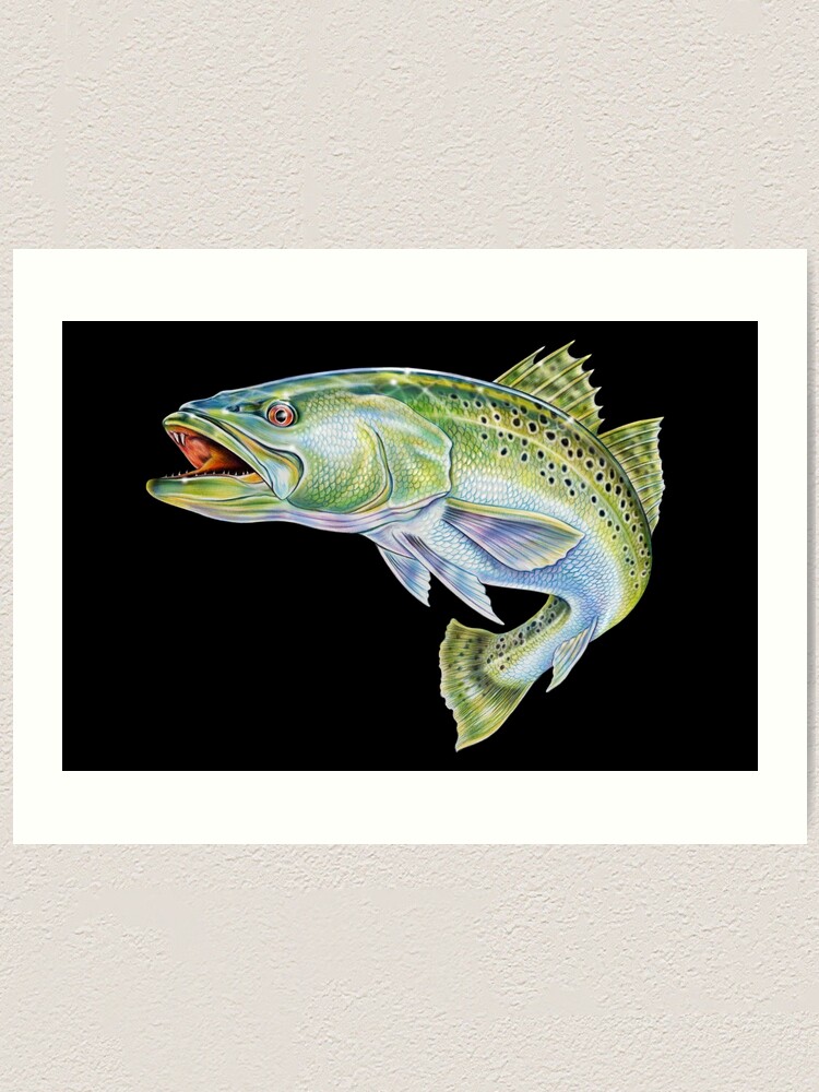 Speckled Trout Art Print for Sale by TimJeffsArt