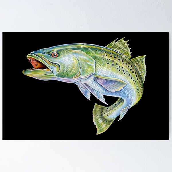 Ocean Fishing Posters for Sale