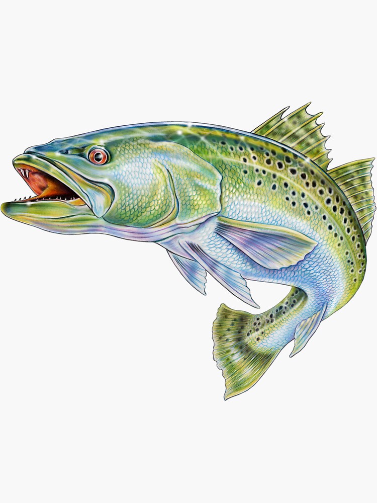Speckled Trout Sticker for Sale by TimJeffsArt