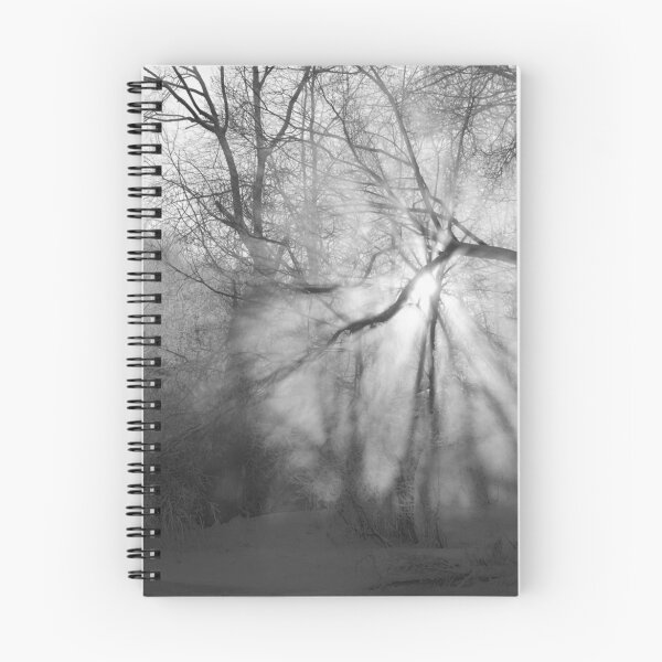 Item preview, Misty, moiesty morning - photography designed and sold by Paul Davenport.