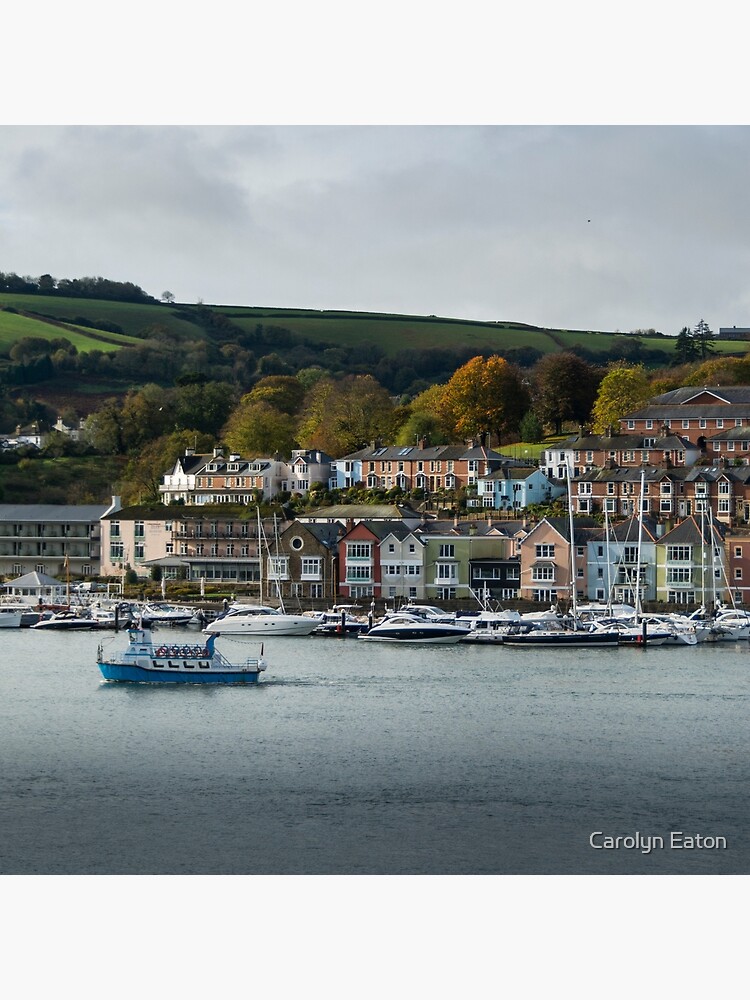 "Dartmouth Marina" Throw Pillow for Sale by CarolynEaton Redbubble