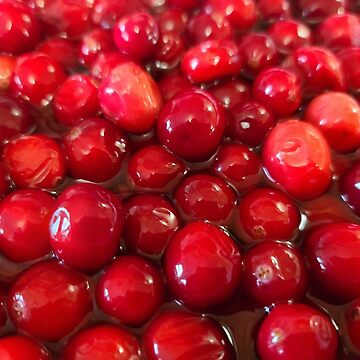 Artwork thumbnail, Cranberries by farmbrough