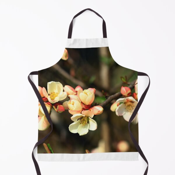 Item preview, Pyrus japonica in bloom designed and sold by annalisa56.