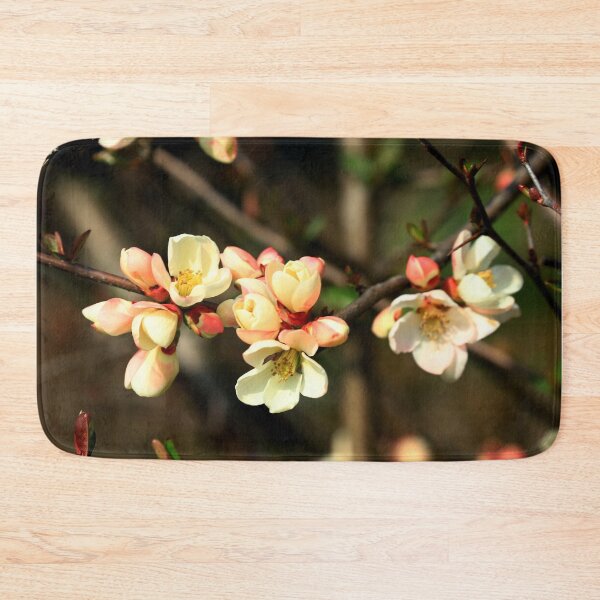 Item preview, Pyrus japonica in bloom designed and sold by annalisa56.