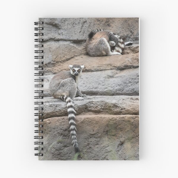 Item preview, Lemur rocks designed and sold by Anthony Brewer.