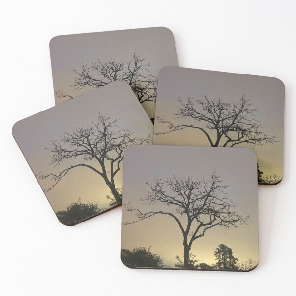 Item preview, Dawn Is Coming designed and sold by Nature and Landscapes.