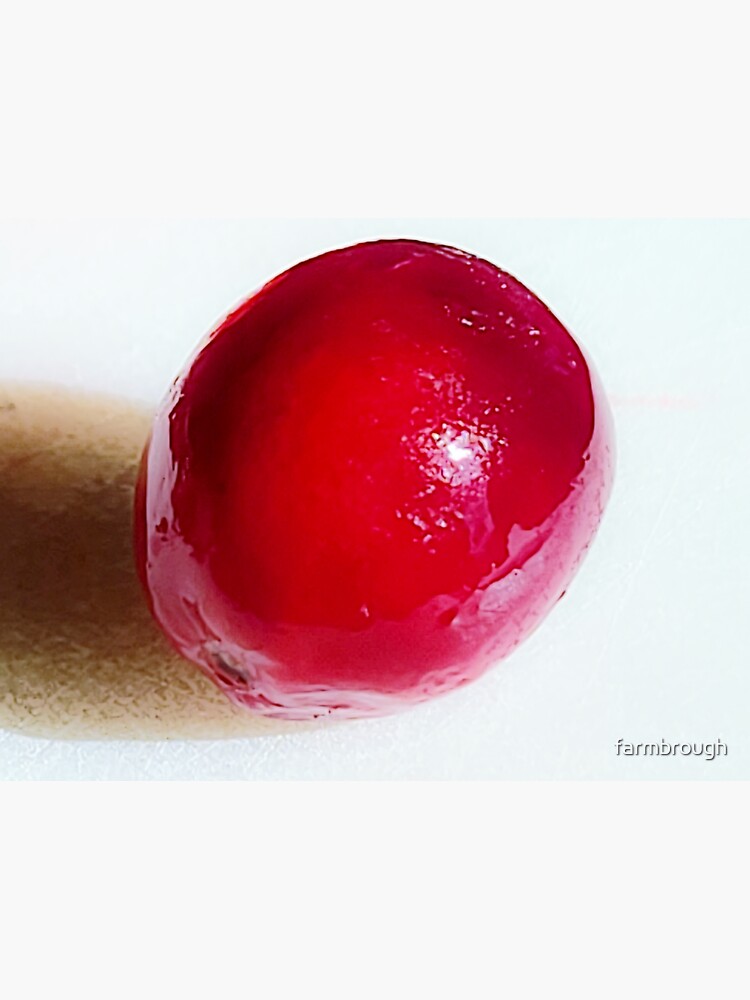 Thumbnail 3 of 3, Sticker, Cranberry designed and sold by farmbrough.