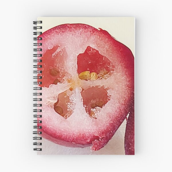 Item preview, Cranberries In Cross-Section designed and sold by farmbrough.