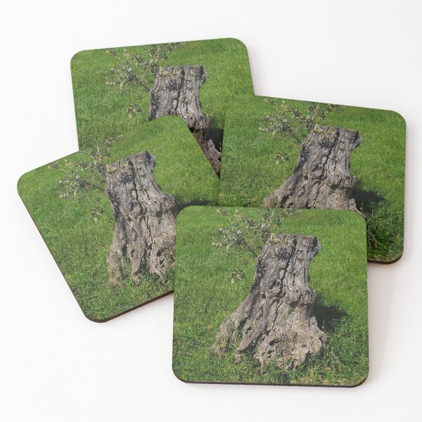 Item preview, An olive tree stump in the park designed and sold by Mahirov Shop.