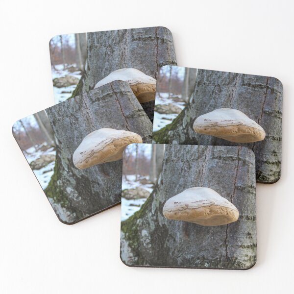Item preview, A fungus that grows on a tree designed and sold by Mahirov Shop.