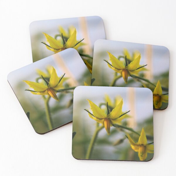 Item preview, Picture of a tomato flower designed and sold by Mahirov Shop.
