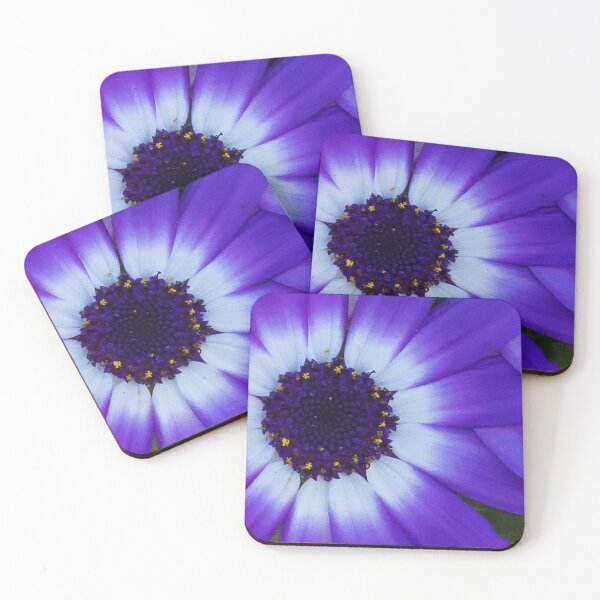 Item preview, Purple and White Cineraria designed and sold by May Finch.