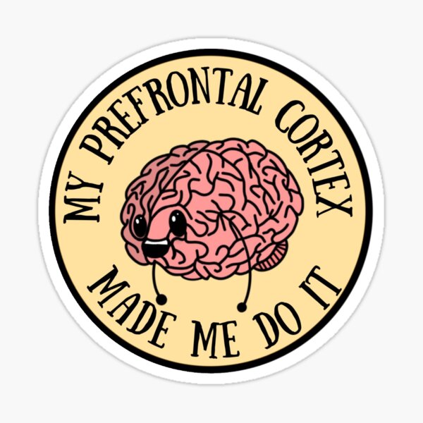 Item preview, Prefrontal Cortex Sticker designed and sold by lildeller.