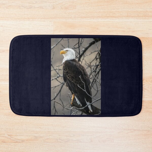 Item preview, God Bless America designed and sold by 7AJA.