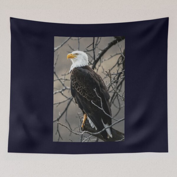 Item preview, God Bless America designed and sold by 7AJA.