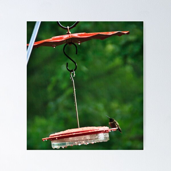 Item preview, swingin in the rain  designed and sold by KSKphotography.