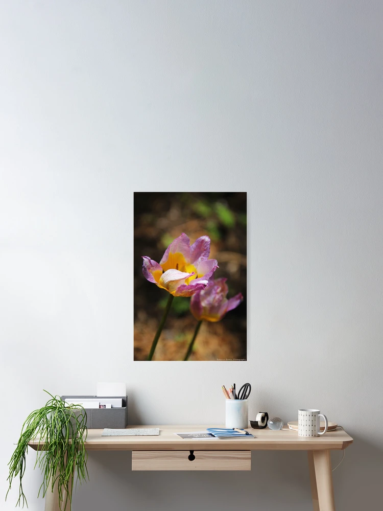 Thumbnail 2 of 3, Poster, Sign of Spring designed and sold by Rebecca Wilcox.