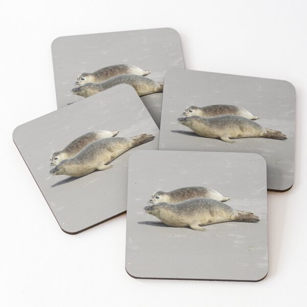 Item preview, Seals on the beach designed and sold by Marije Kouyzer.