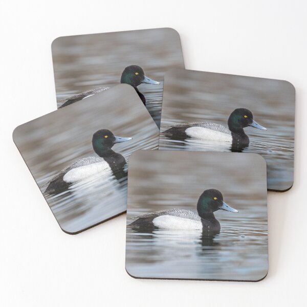 Item preview, Greater Scaup designed and sold by Greg Birkett.