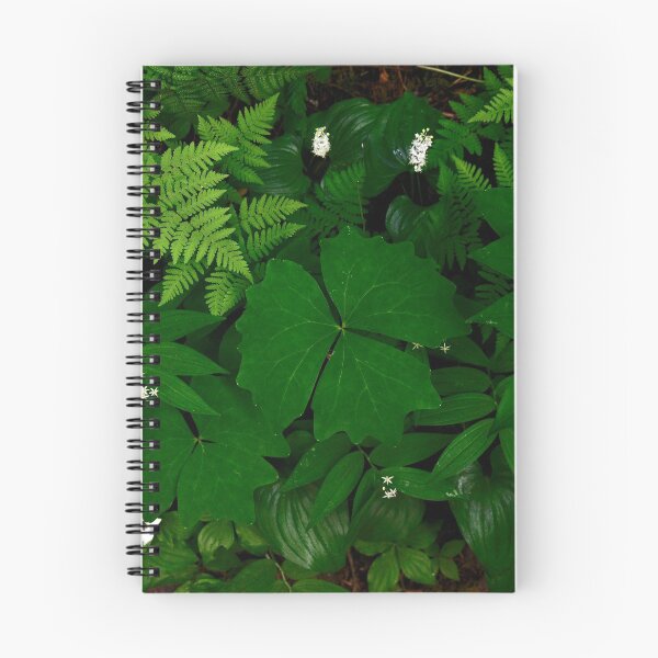 Item preview, Deep Green designed and sold by Barbara Burkhardt.