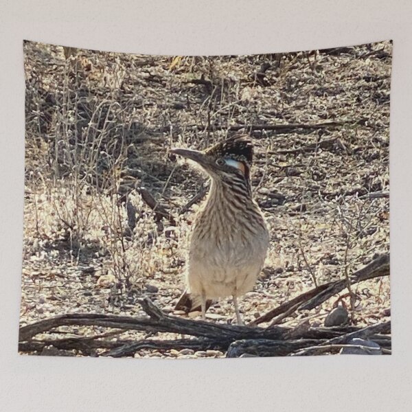 Aperçu de l'œuvre Tucson Roadrunner créée et vendue par pinkyjainpan.