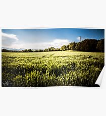 italian fields in the countryside Poster