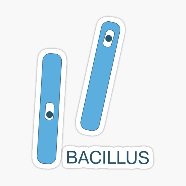 Bacillus Sticker